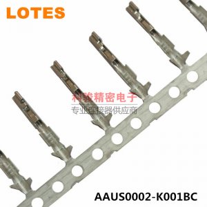 AAUS0002-K001BC