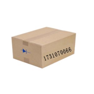 1731070066